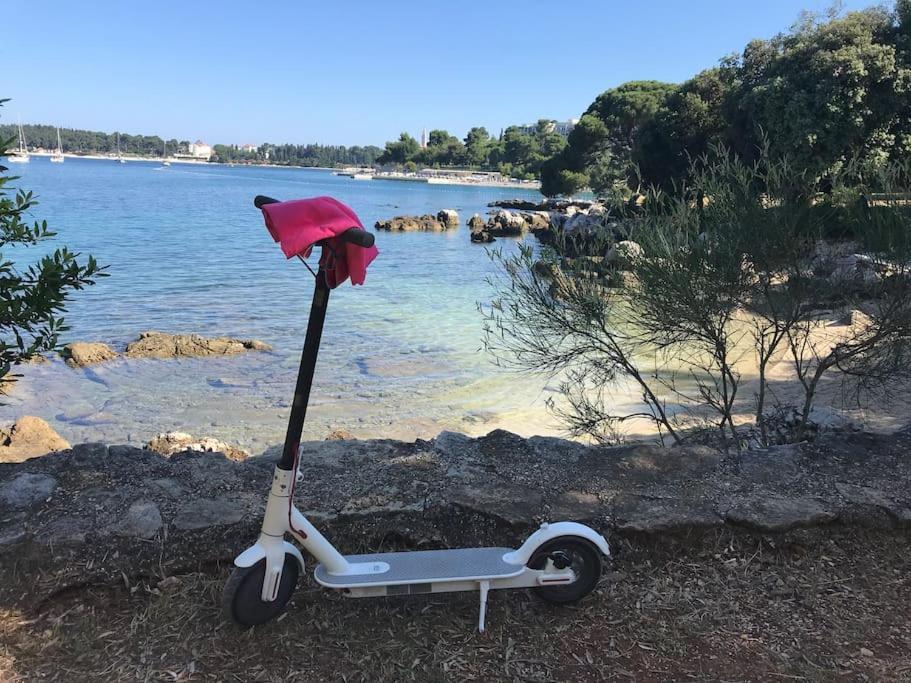 Apartment Capo D'Oro Rovinj Exterior foto